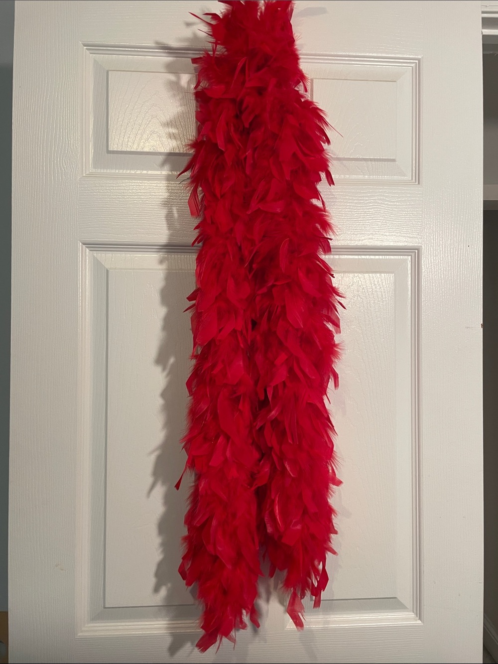 Red Feather Boa
